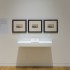 Installation view: <em>Traces of the Wake: The Etching Revival in Britain and Beyond</em>, curated by David Maskill and his ARTH 403 students, Adam Art Gallery Te Pātaka Toi, Victoria University of Wellington (photo: Shaun Waugh)