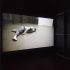 Installation view of Sriwhana Spong, <em>The Fourth Notebook</em>, 2015, HD video, 8 mins, 36 secs. Courtesy of Michael Lett, Auckland. Dancer: Benjamin Ord. Commissioned by Carriageworks, Sydney. In the exhibition <em>Inhabiting Space</em> at the Adam Art Gallery Te Pātaka Toi, Victoria University of Wellington (photo: Shaun Waugh) 